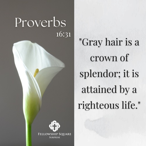 Graphic with Bible Scripture for seniors Proverbs 16:31