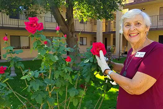 Volunteering helps residents and roses thrive!