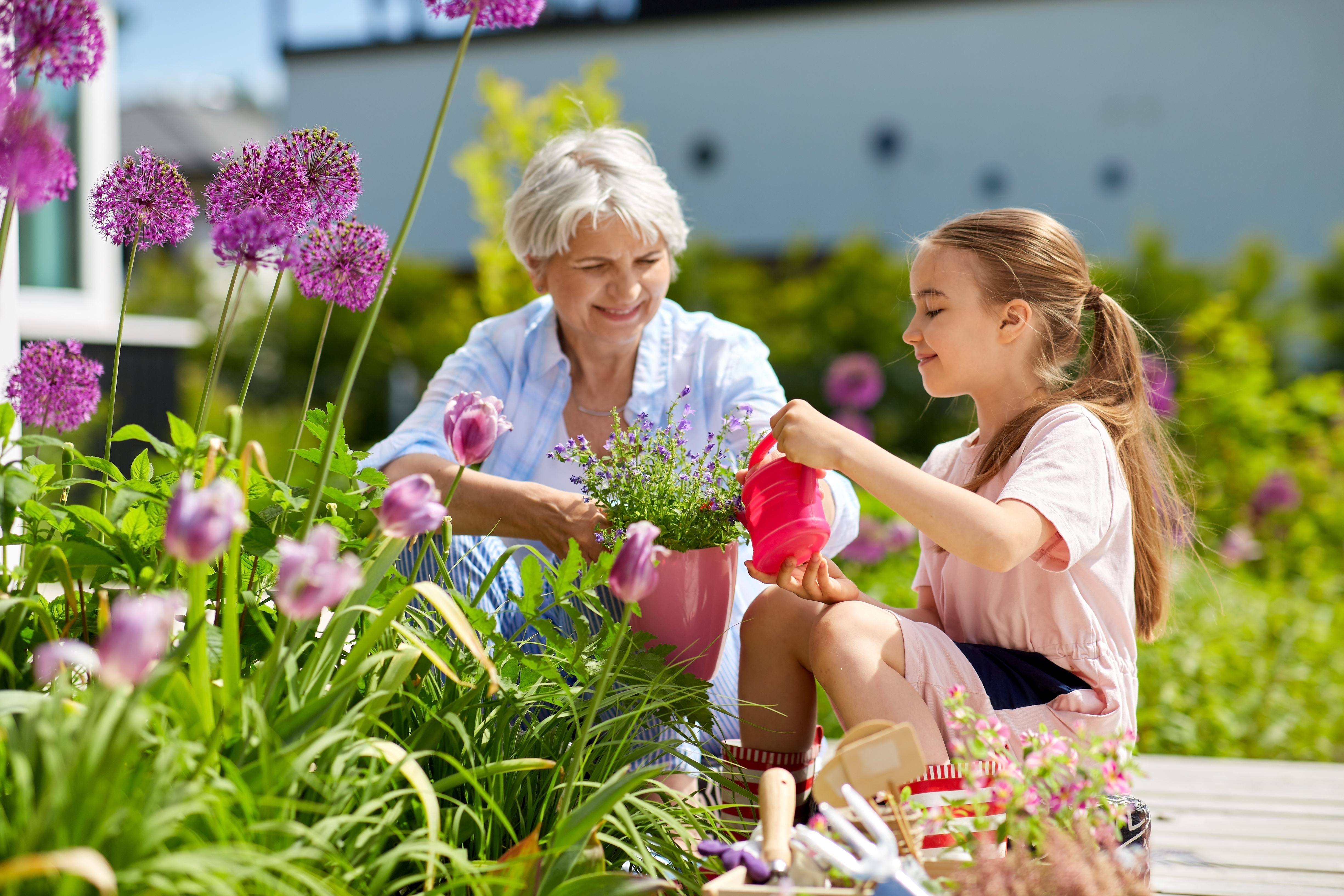 Hobbies and Activities for Seniors