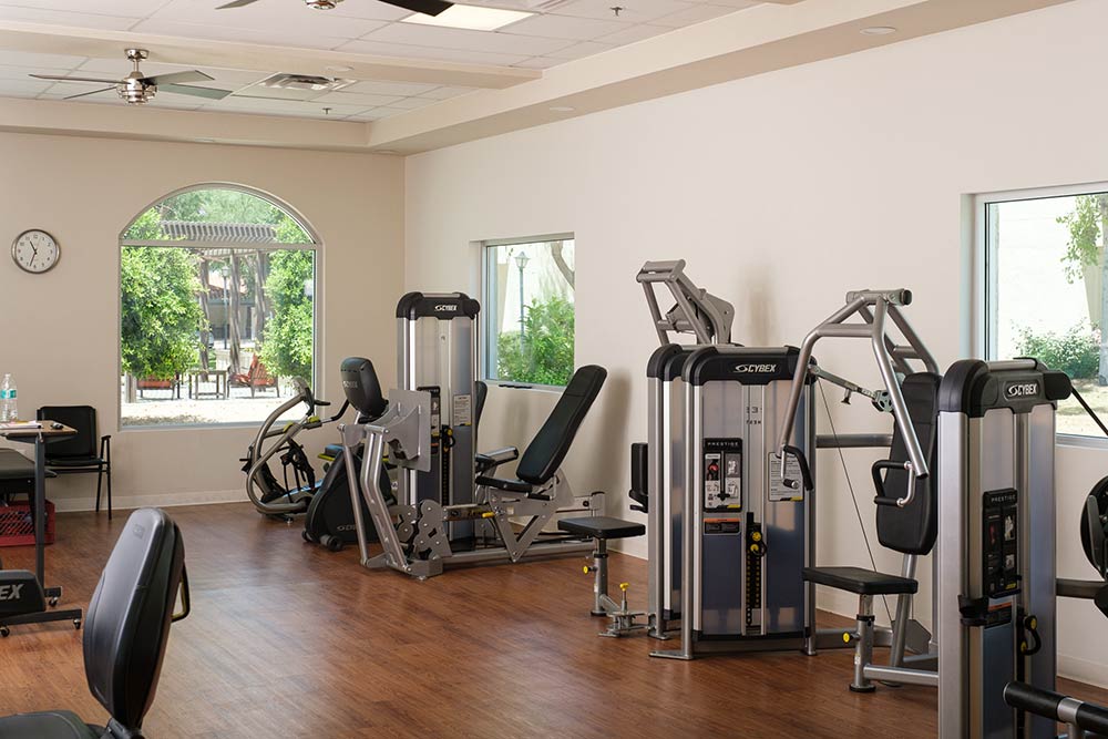 Photo of exercise equipment for seniors