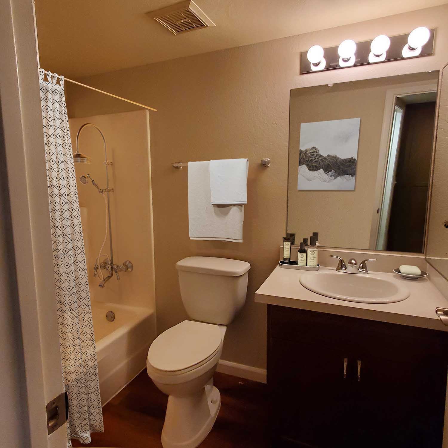 Photo of guest bathroom in senior living apartment