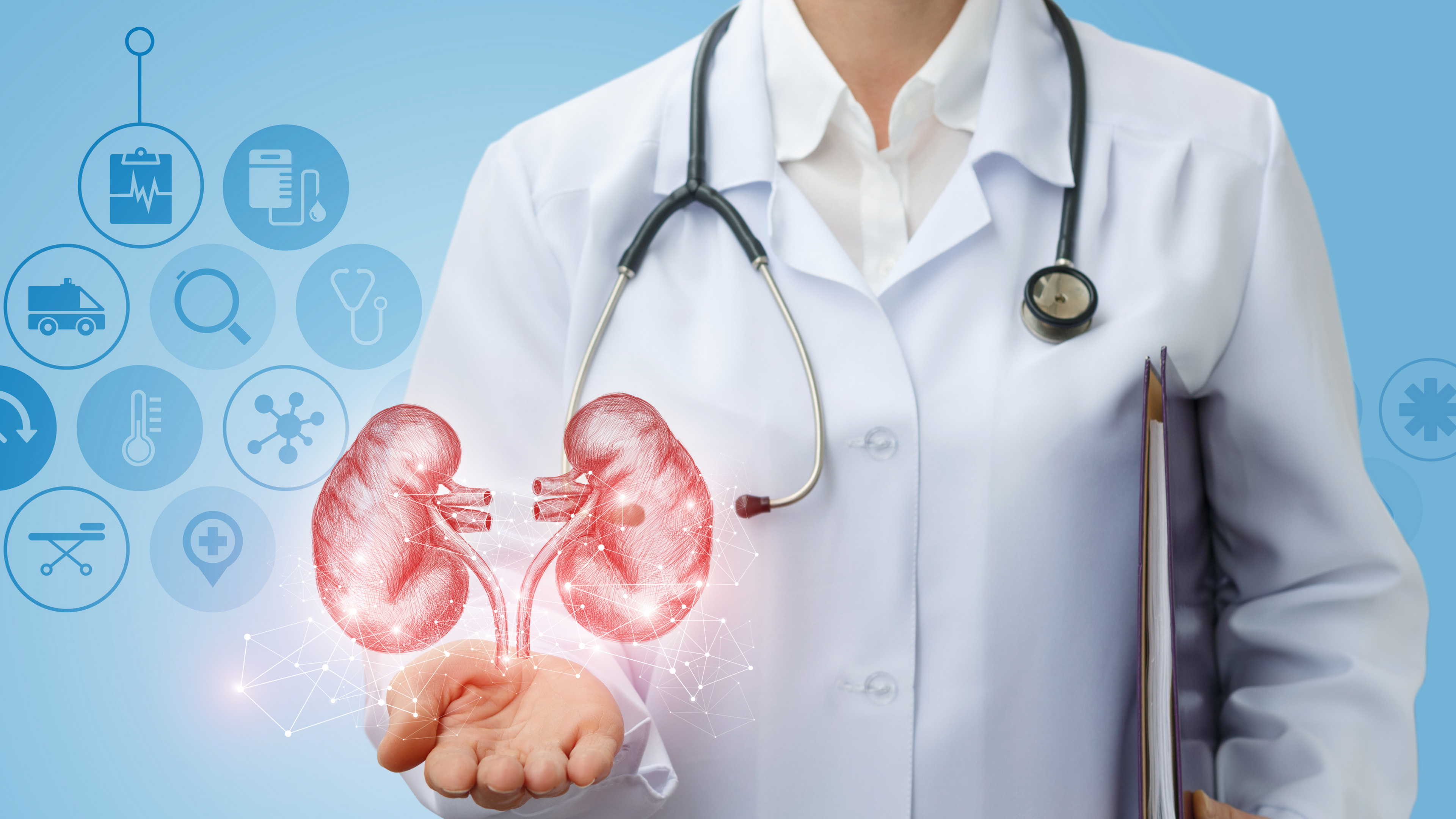 Tips for Kidney Health in Honor of National Kidney Month