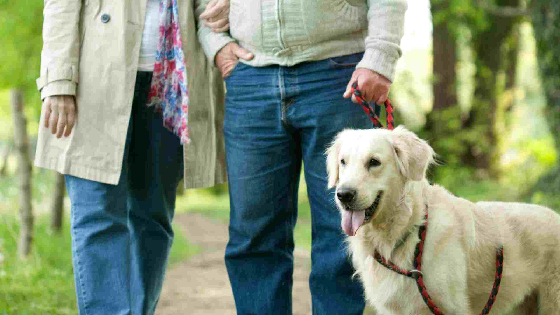Should Seniors Have a Pet?
