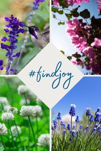 Photo collage of flowers and hummingbird, with text overlay: find joy