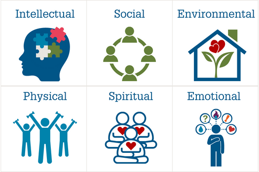 Infographic depicting the 6 areas of emotional & physical wellness