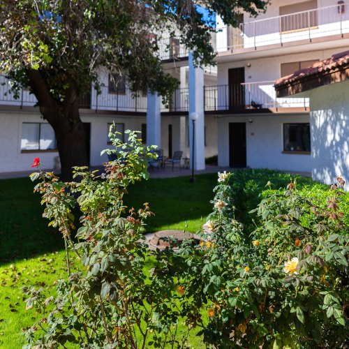Photo of one of the beautiful courtyards at Fellowship Square Historic Mesa